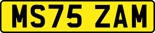 MS75ZAM