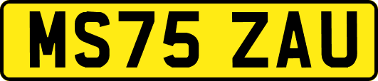 MS75ZAU