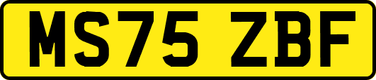 MS75ZBF