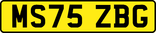 MS75ZBG