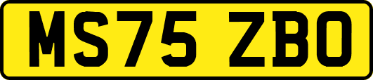 MS75ZBO