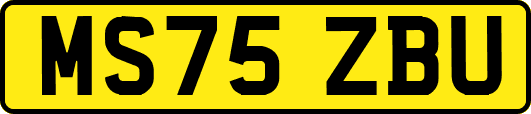 MS75ZBU