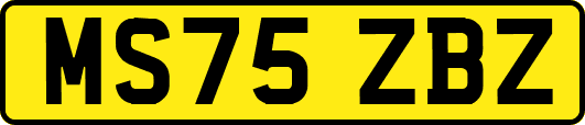 MS75ZBZ