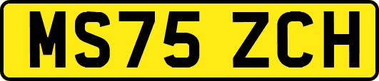 MS75ZCH