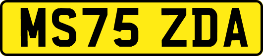 MS75ZDA