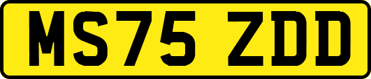 MS75ZDD
