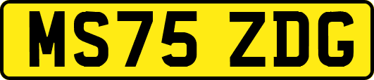MS75ZDG