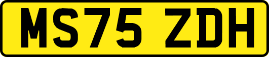 MS75ZDH
