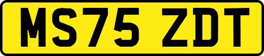MS75ZDT