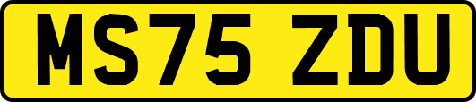 MS75ZDU