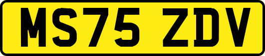 MS75ZDV
