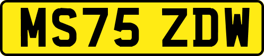 MS75ZDW