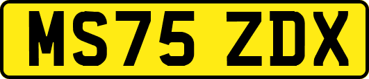 MS75ZDX