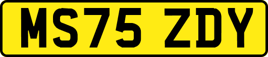 MS75ZDY