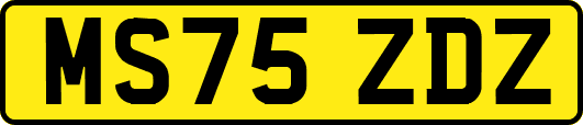 MS75ZDZ