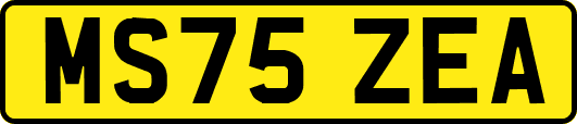 MS75ZEA