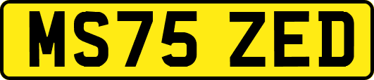 MS75ZED