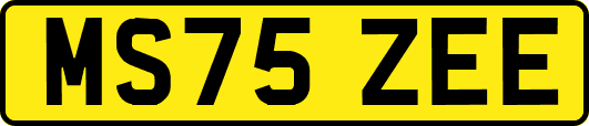 MS75ZEE