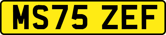 MS75ZEF