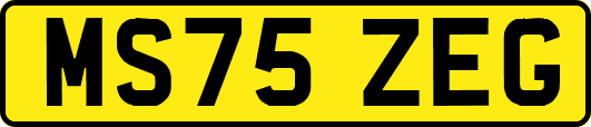 MS75ZEG
