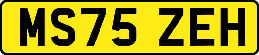 MS75ZEH