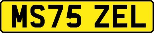 MS75ZEL