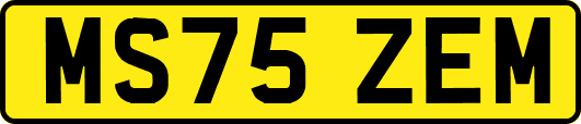 MS75ZEM