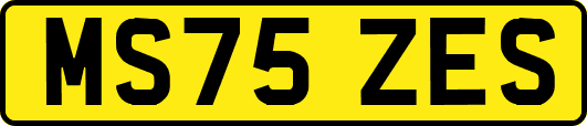 MS75ZES