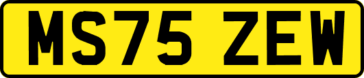 MS75ZEW