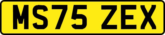 MS75ZEX