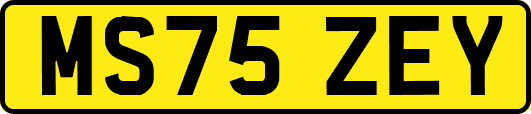MS75ZEY