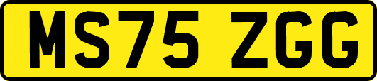 MS75ZGG