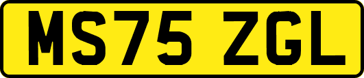MS75ZGL