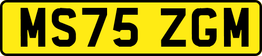 MS75ZGM