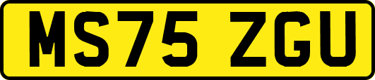 MS75ZGU