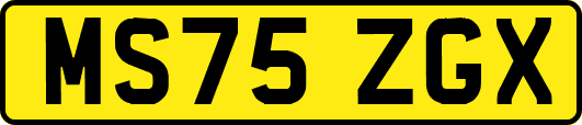 MS75ZGX