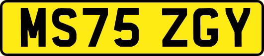 MS75ZGY