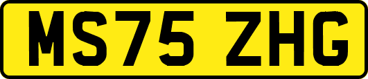 MS75ZHG