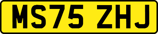 MS75ZHJ