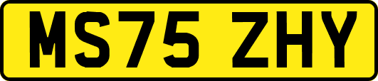 MS75ZHY