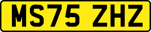 MS75ZHZ