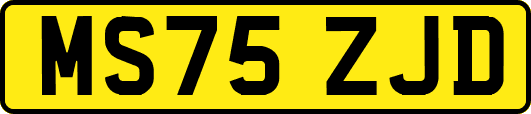 MS75ZJD
