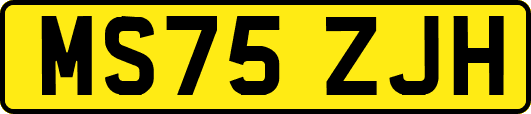 MS75ZJH