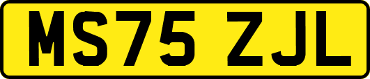 MS75ZJL