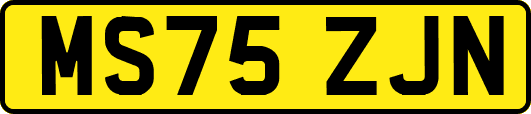 MS75ZJN