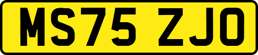 MS75ZJO