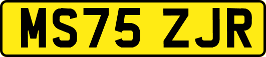 MS75ZJR
