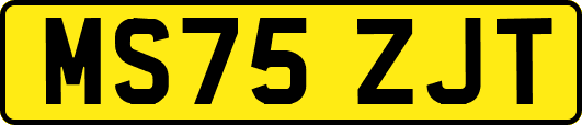 MS75ZJT