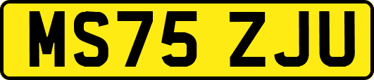 MS75ZJU