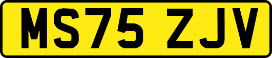 MS75ZJV